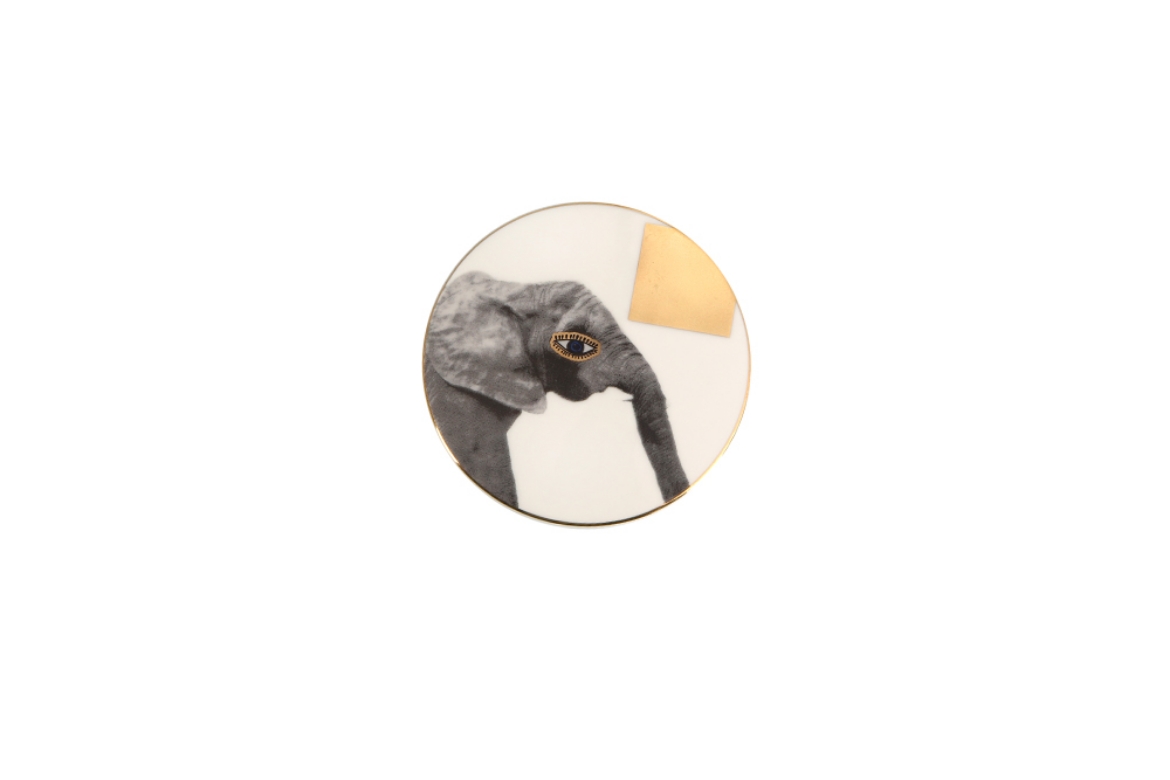 Picture of Wild Life Elephant Coaster 10x10cm                          